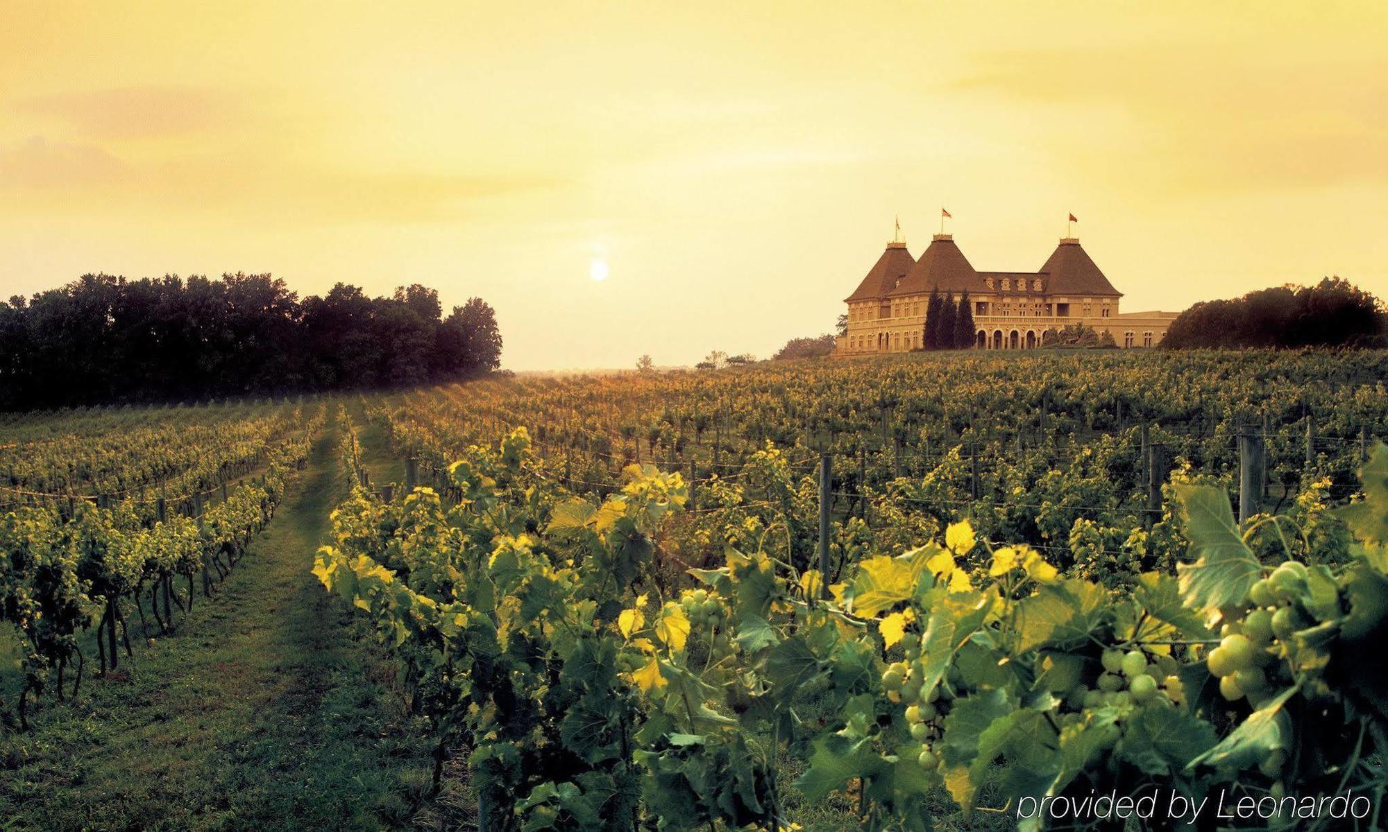 Chateau Elan Winery Braselton Ngoại thất bức ảnh